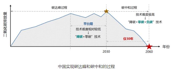 “双碳”会是一阵风吗？